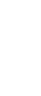 白木のカウンターに